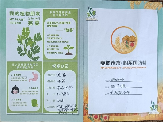 【幸福教育】“麦”向未来 心系国防——焦东路小学开展研学实践活动