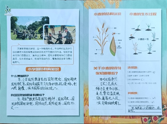 【幸福教育】“麦”向未来 心系国防——焦东路小学开展研学实践活动