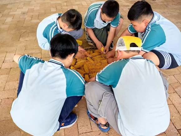 【幸福教育】“麦”向未来 心系国防——焦东路小学开展研学实践活动