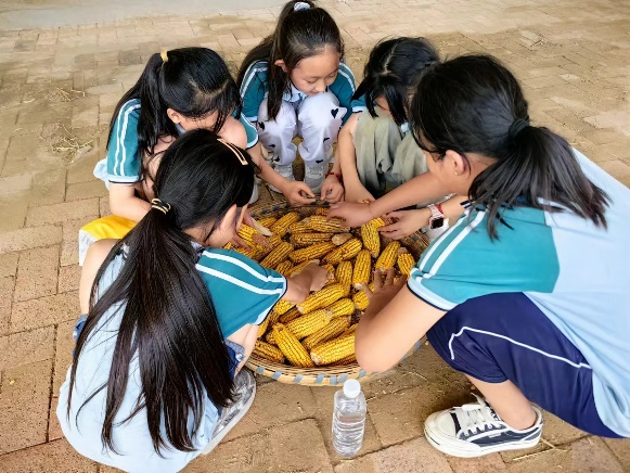 【幸福教育】“麦”向未来 心系国防——焦东路小学开展研学实践活动