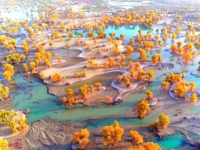 【12条研学旅行精品线路】极地研旅亮相2023研学旅行推进会