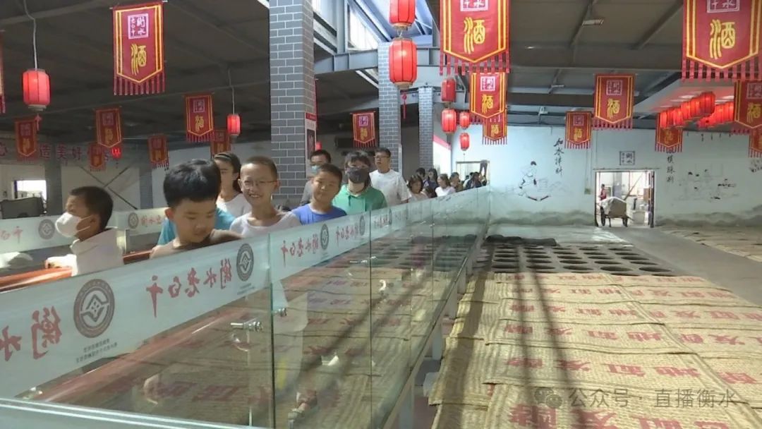 研学到衡水！我市推出9大类16条研学旅游精品线路