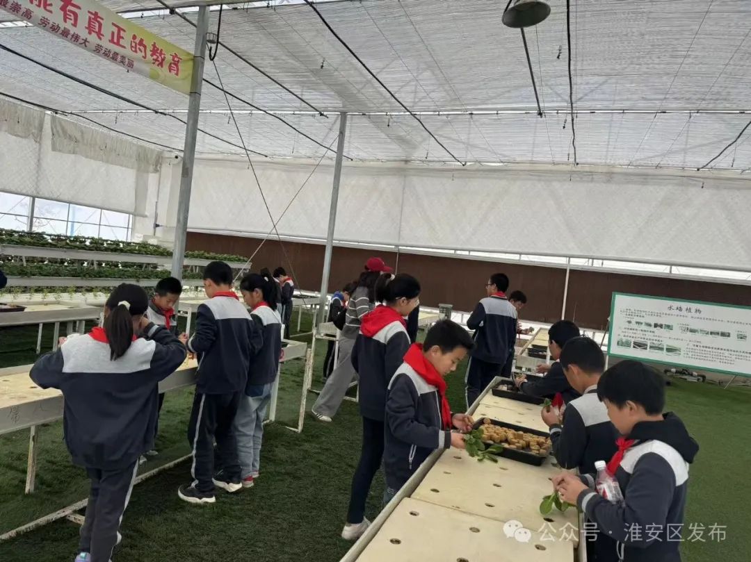 孩子们都学High了！这才是研学的正确打开方式