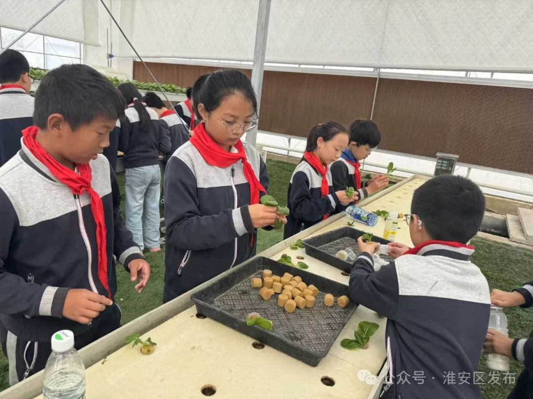 孩子们都学High了！这才是研学的正确打开方式