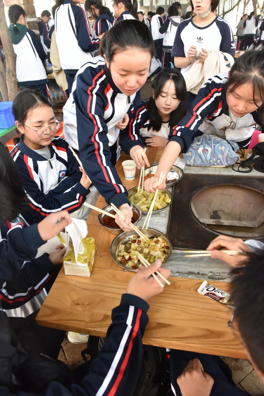 踏青丨花草香，少年游，春日研学正当时