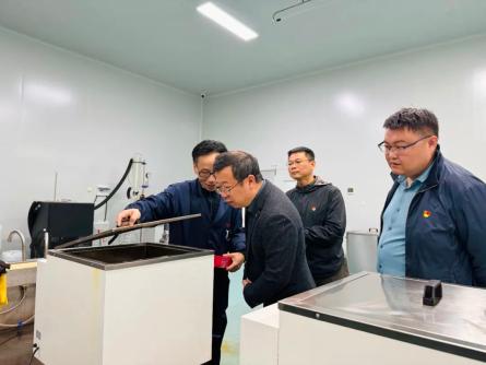党建领航！里水研学赋能乡村振兴，助力“百千万工程”
