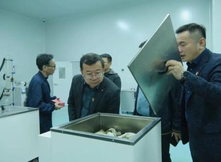 党建领航！里水研学赋能乡村振兴，助力“百千万工程”