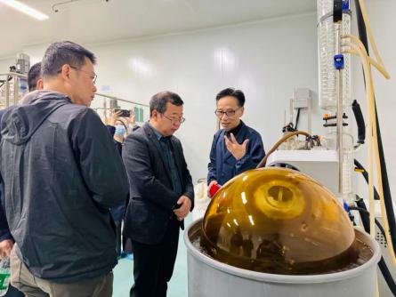 党建领航！里水研学赋能乡村振兴，助力“百千万工程”