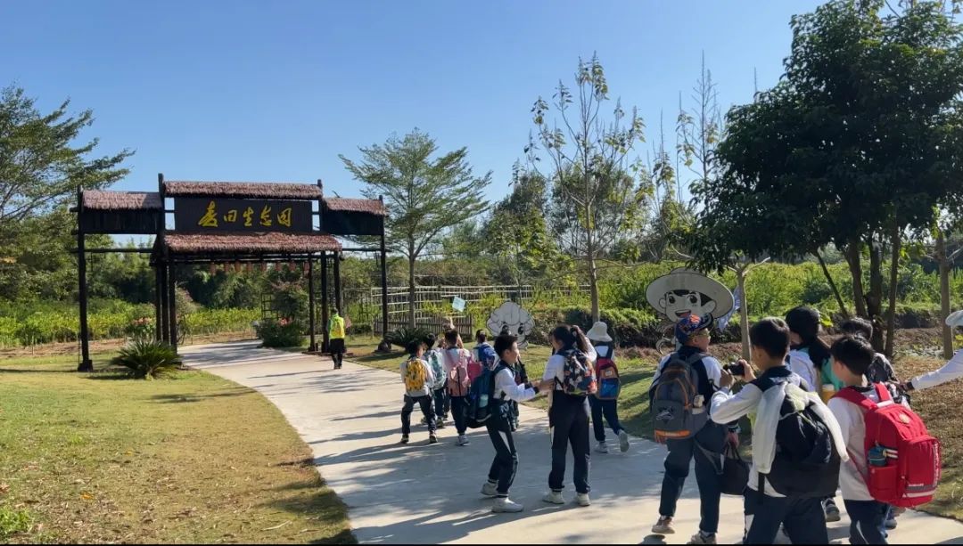 研学奇遇记：麦田生态园里的快乐探索