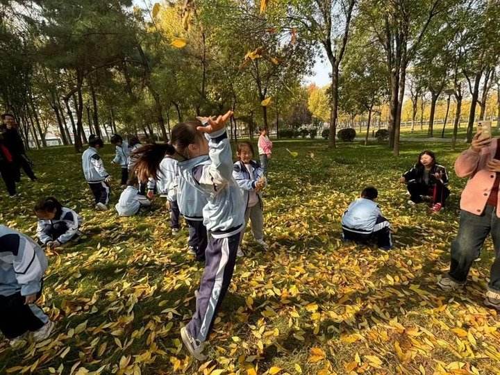 研学分享：一场知识与成长的奇妙之旅