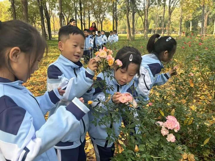 研学分享：一场知识与成长的奇妙之旅