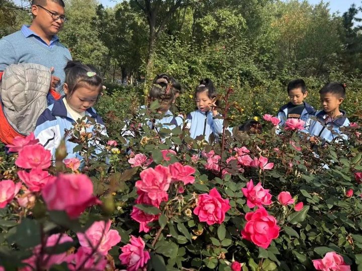 研学分享：一场知识与成长的奇妙之旅