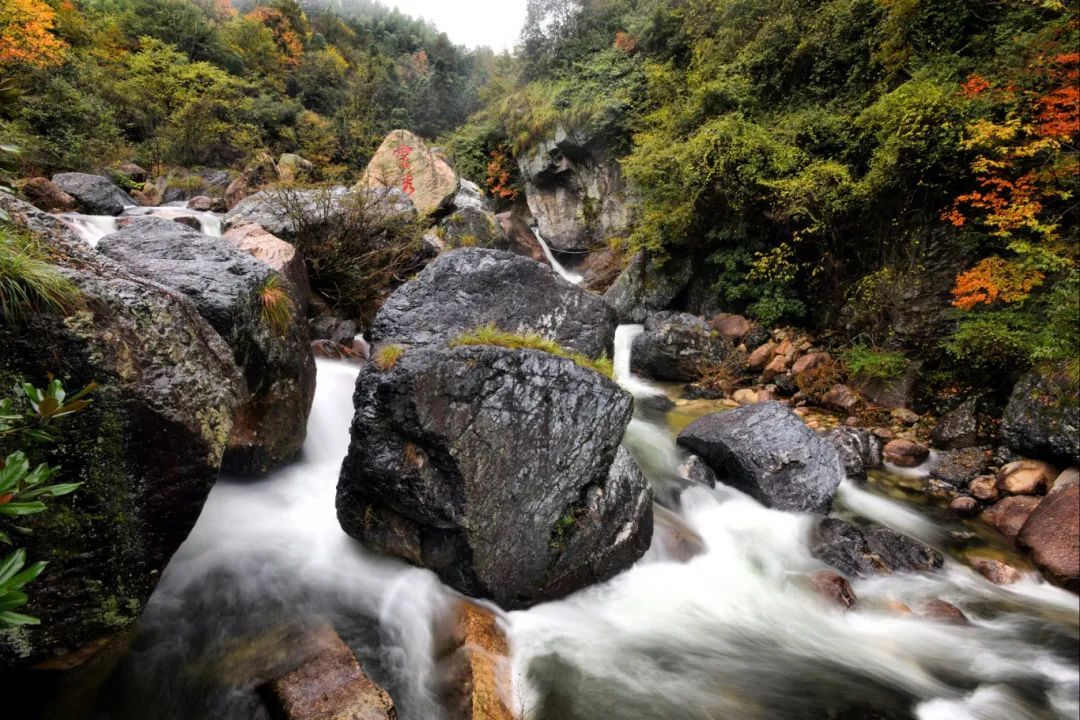 研学基地 | 翡翠谷秋季研学游，开启一场自然与知识的盛宴