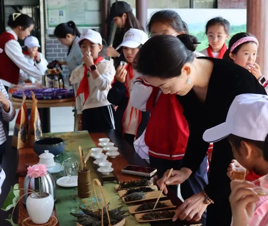 青春童行之普安红研学|茶韵悠悠，童心飞扬