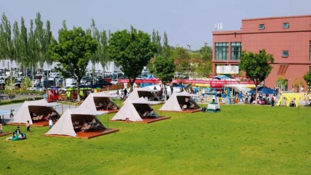 西咸新区打造研学新地标，21家机构共筑教育多元化体验