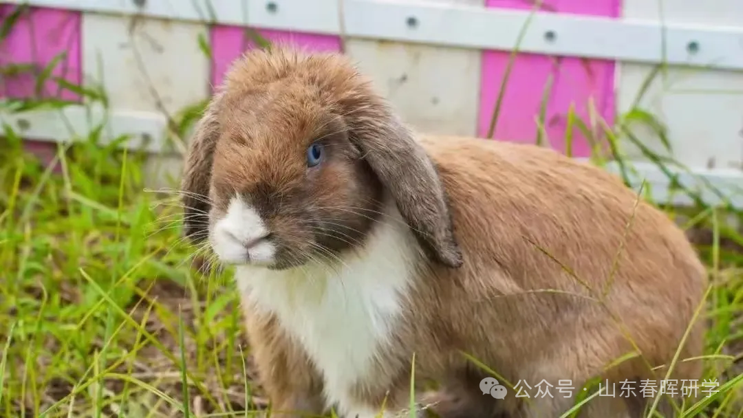 西安4个研学宝藏地！太涨知识了！
