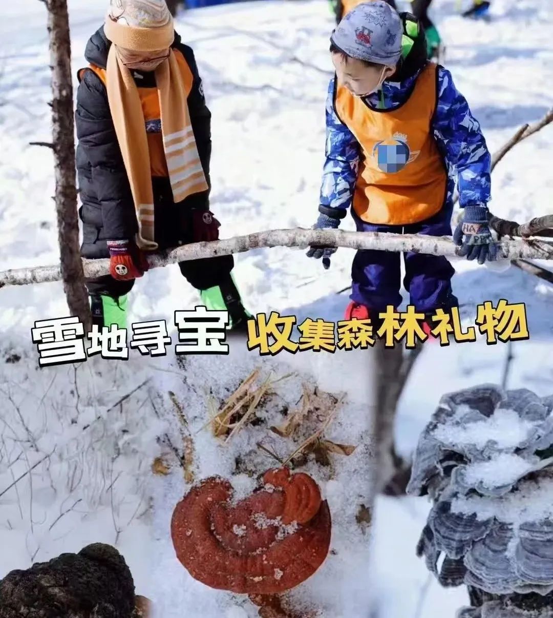 政策支持助力冰雪研学，东北市场蓄势待发