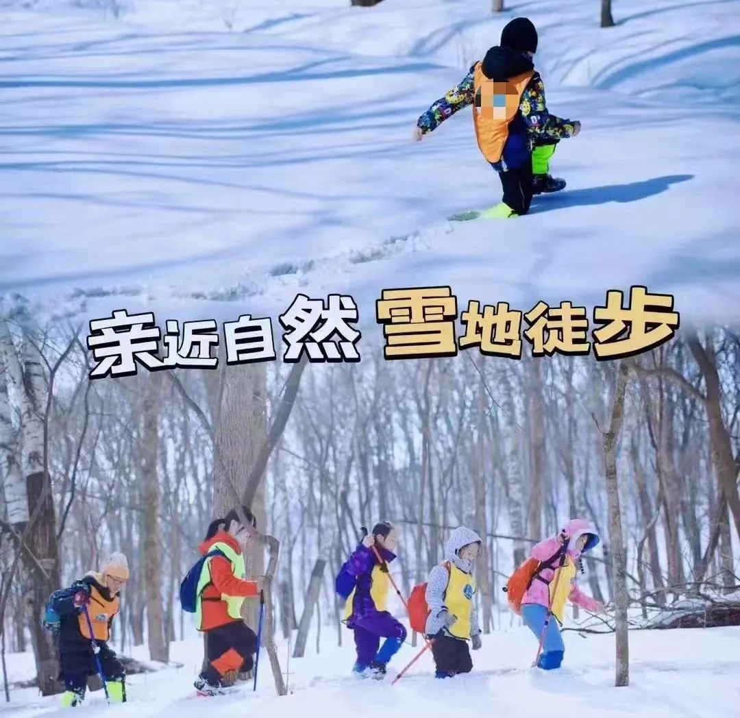 政策支持助力冰雪研学，东北市场蓄势待发