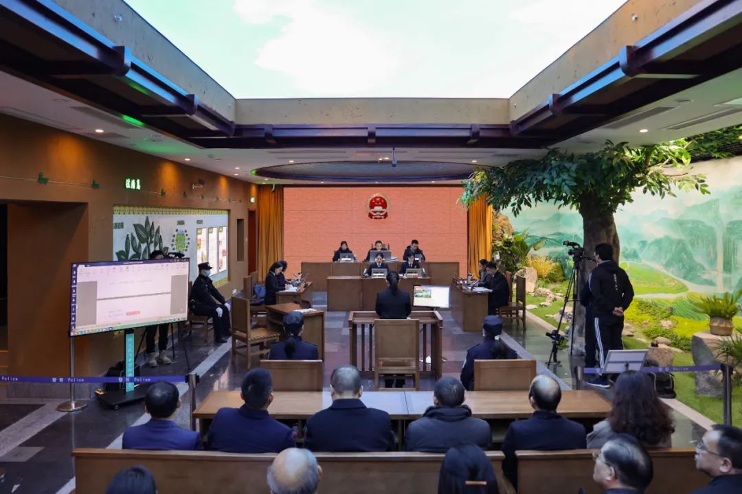 喜报丨全市唯一！南岸法院这个研学课程荣获全国优秀
