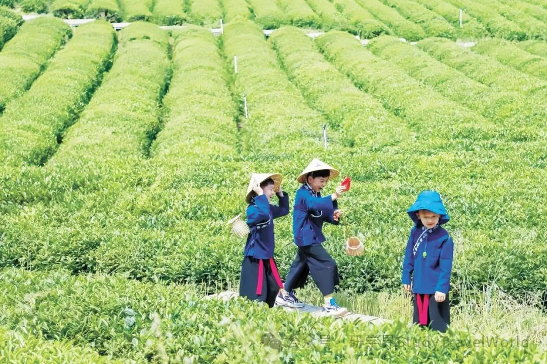 文化中国行丨走进研学旅游基地 体验文化之旅