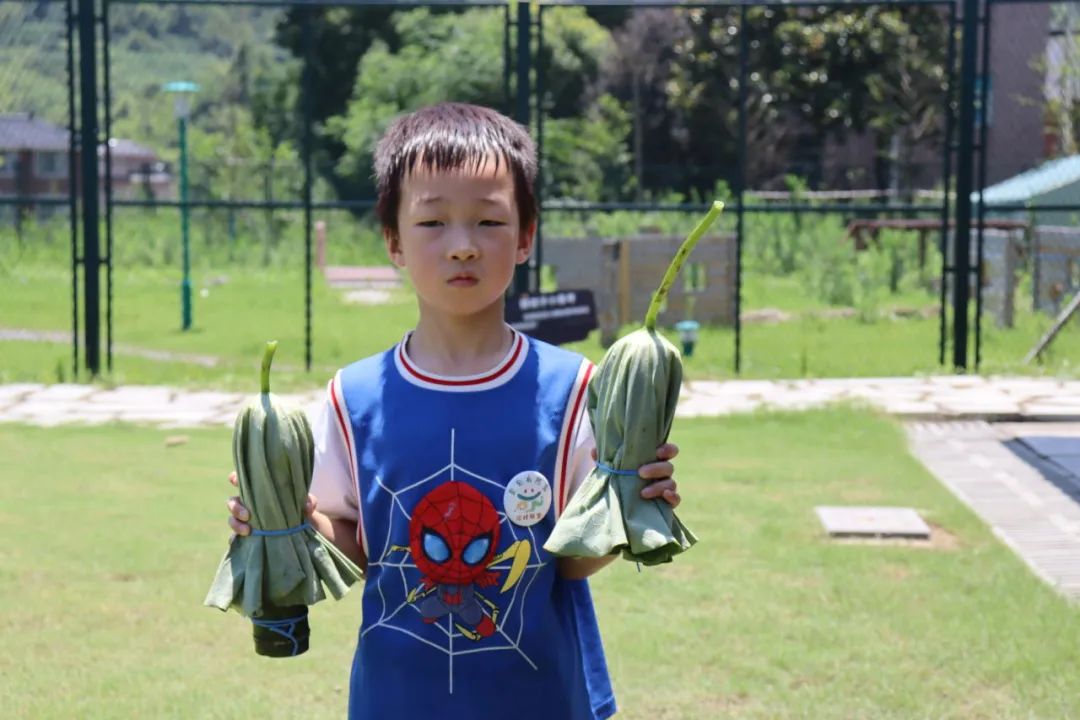 育见自然家，陪娃联盟齐出发！稻田里的欢乐研学日全记录