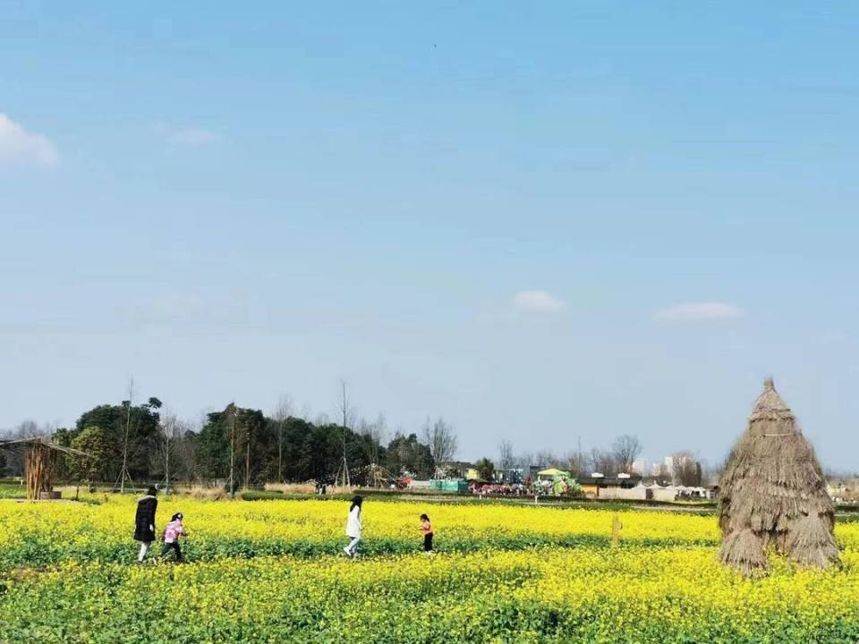 好学又好玩的研学之旅 研学旅行分会会长推荐这两条旅游线路