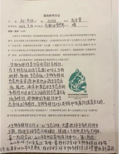 踏青丨花草香，少年游，春日研学正当时