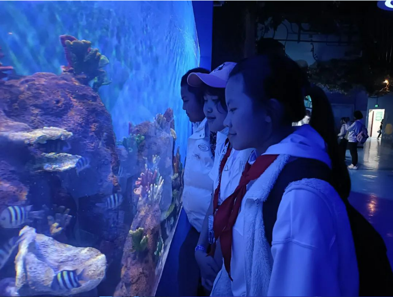 踏青丨花草香，少年游，春日研学正当时