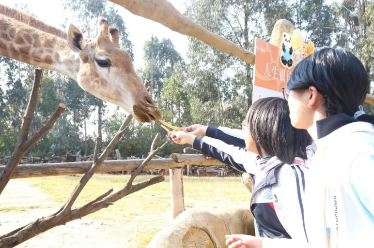 踏青丨花草香，少年游，春日研学正当时
