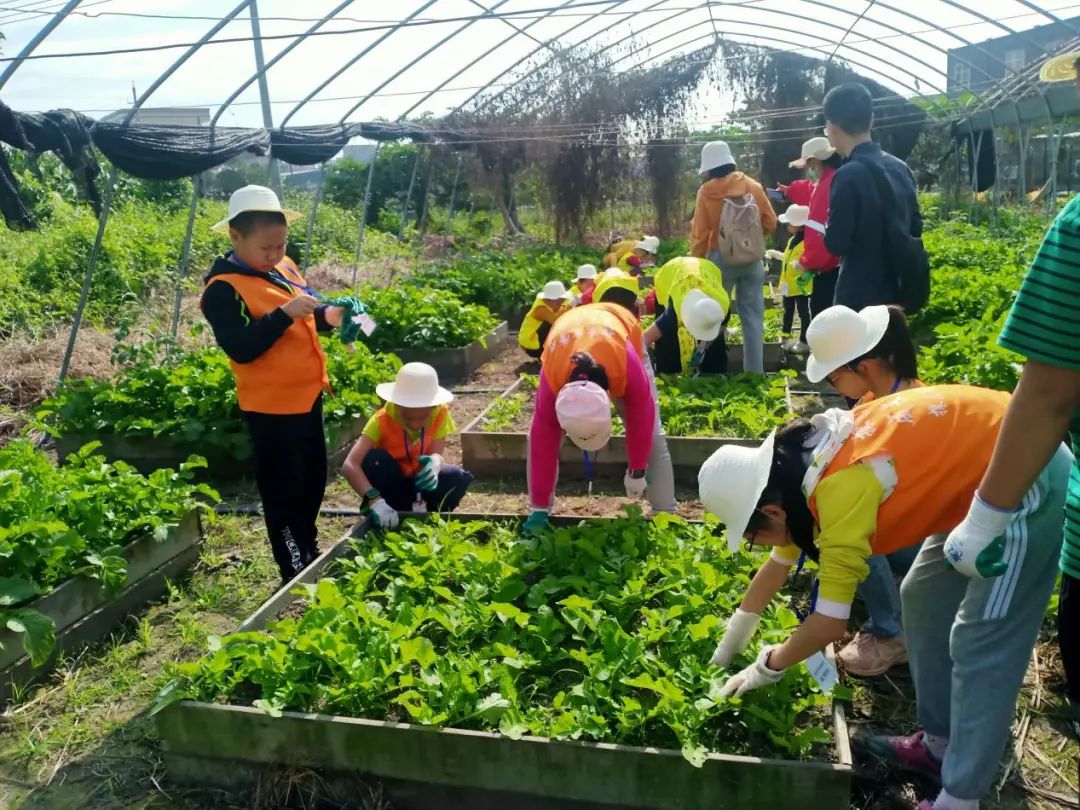 文旅部发文：规范“研学旅游”，明确了3个归属和5个经营方向！